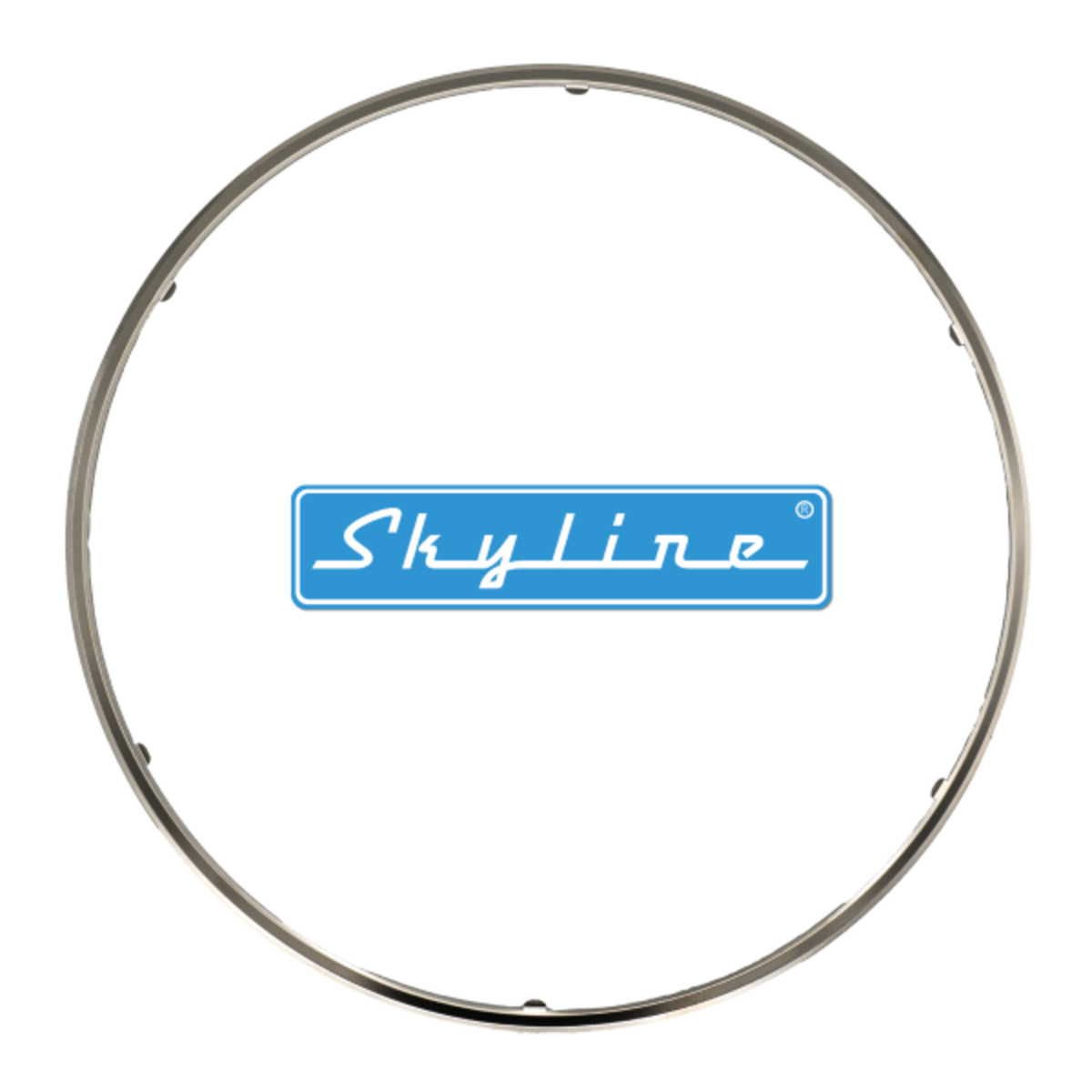 A photo of a single Skyline aftermarket GA077 gasket for a diesel engine emission control system
